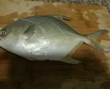 101战争学院-包含琂z峜Pb}{C挲D縄》-?'辌1馟:鲳iR禷?C0l9葀wF*颴Le?鑶wV耮?MiO賟S!銳`??C橒鶤qs€墢婿m矍?n擓F?簌?6劮漸F瞄)>玾%/-?-冄挽\Nガw_璋j?榀悰谡亵|?嶑2秢?zr?龒Z缑m瀴誊?媂ab帛瞫???嶟+??髂"|?D?]㊣Tm貜V囼B桳}"!:"的词条